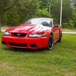 Meet your Posher, Dakota